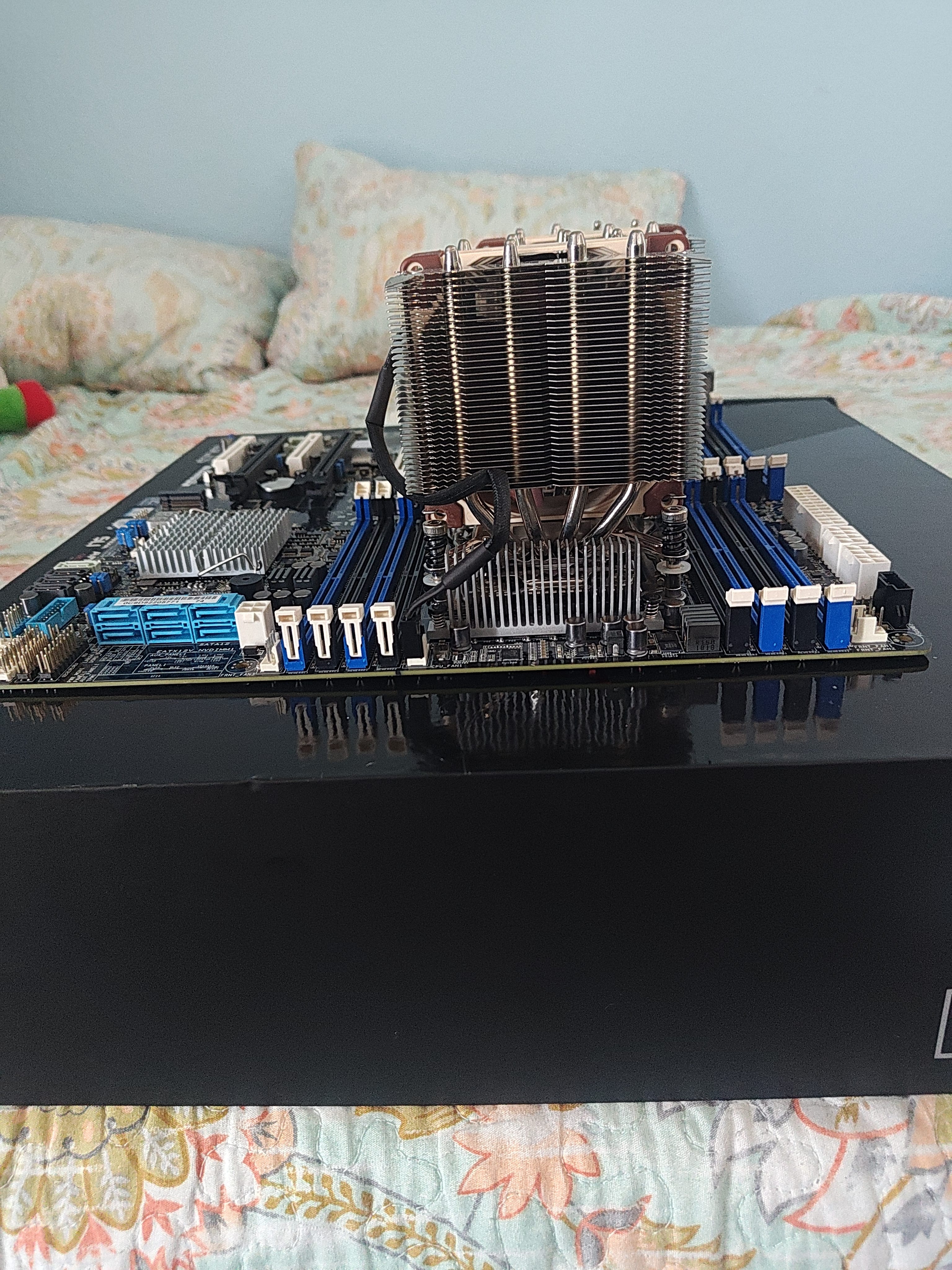 Z10PE-D16 right side profile